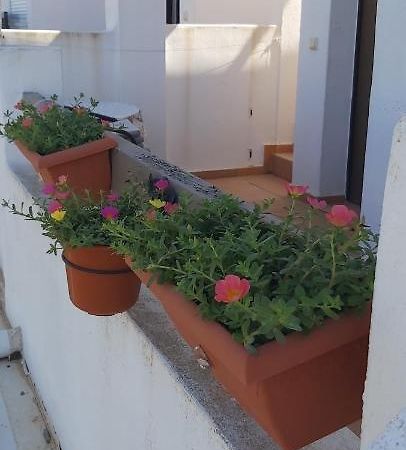 Ferienwohnung Condado De Alhama, Naranjos 8 Alhama de Murcia Exterior foto